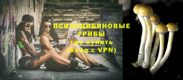a pvp Арсеньев